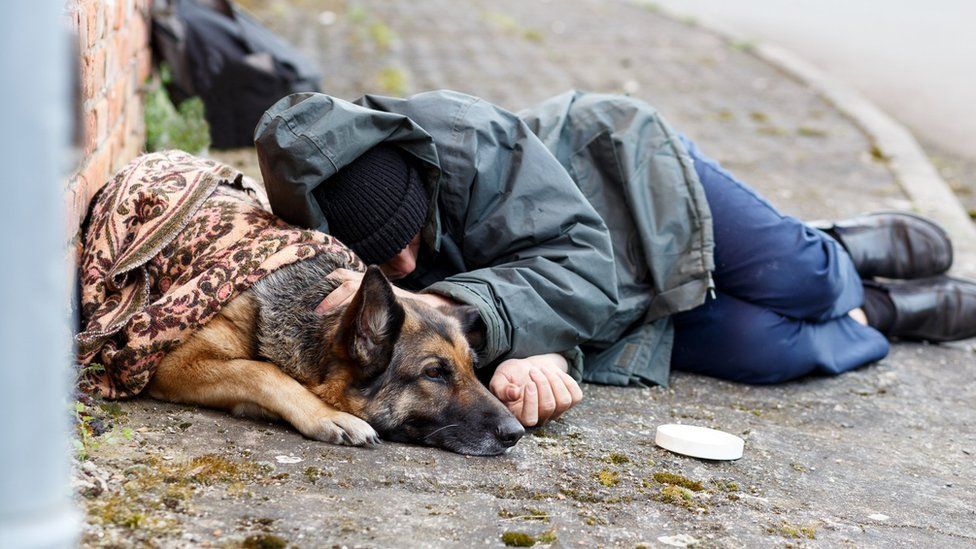 Homeless People 'Should Be Allowed To Stay With Their Dogs' - Bbc News
