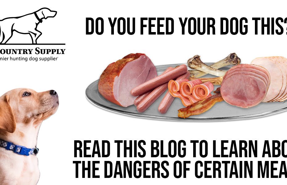 Meats To Never Give Your Dog