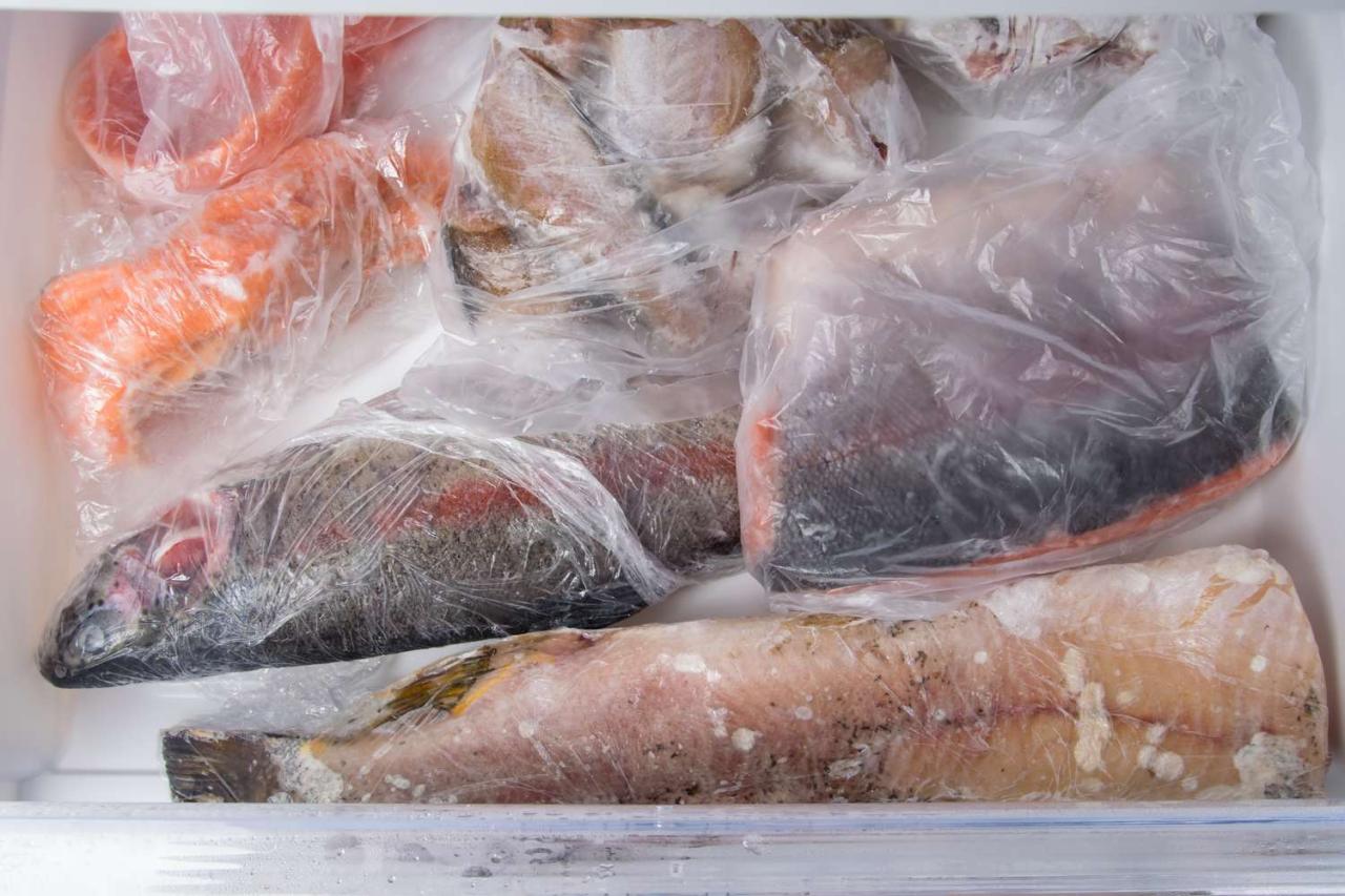 question-how-long-does-frozen-fish-stay-good-a-guide-to-freezer-freshness