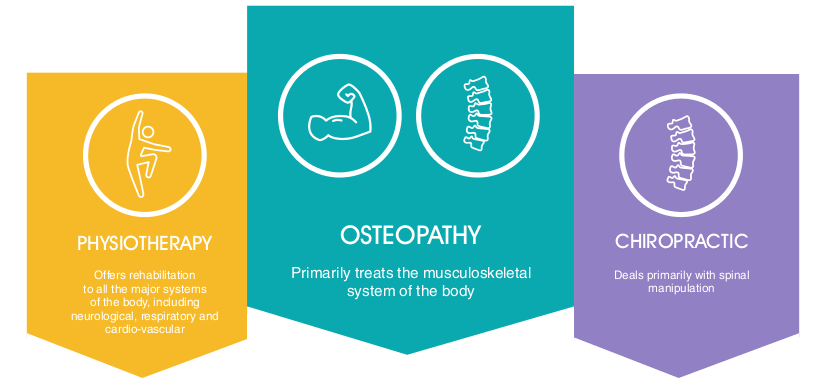 Osteopath Vs Chiropractor London – Difference Between Osteopath &  Chiropractor