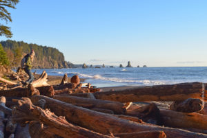 Visit Forks And La Push | Things To Do | The Olympic Peninsula