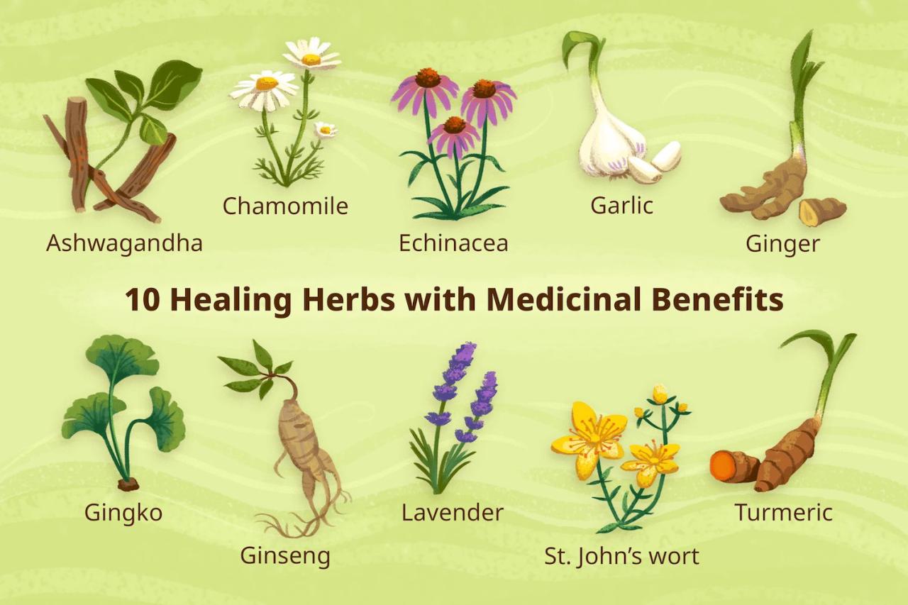 10 Healing Herbs With Medicinal Benefits