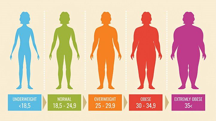 What'S A Healthy Bmi In Adults? Here'S Everything You Need To Know