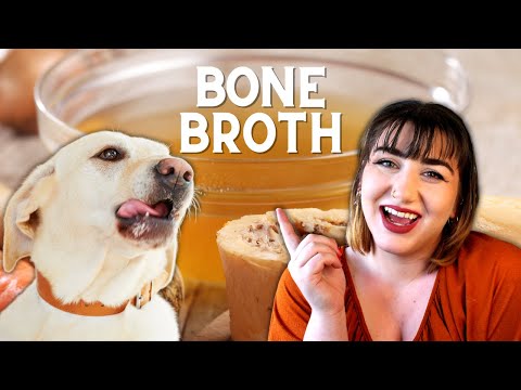Why You Should Add Bone Broth To Your Pet's Diet | Joint Support, Gut Health, and Immune Health