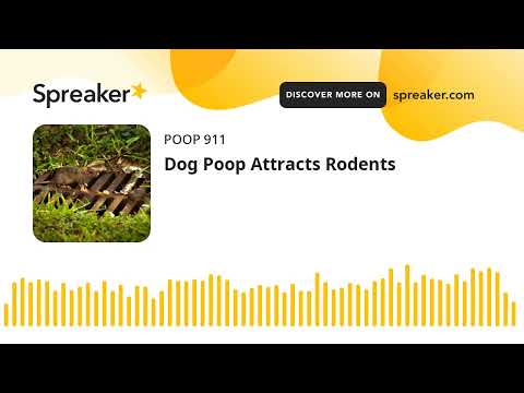 Dog Poop Attracts Rodents