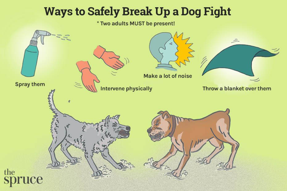 How To Safely Break Up A Dogfight