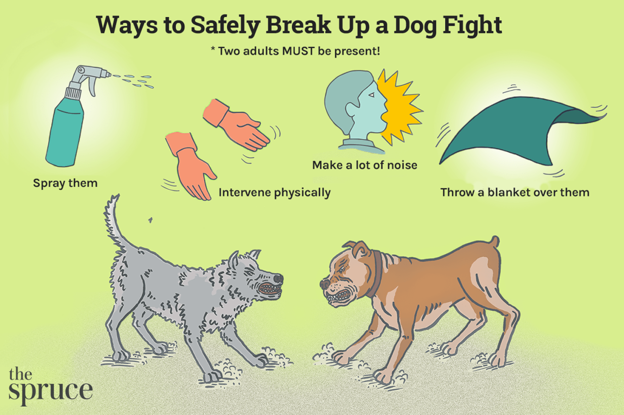 What To Do With The Dogs When You Break Up A Guide For Pet Parents