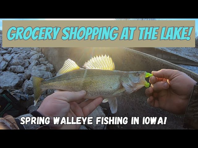 Spring Walleye Fishing In Iowa! - Youtube