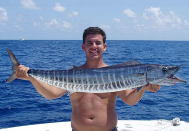 Fish Species | Costa Rica Sportfishing Tours & Charters